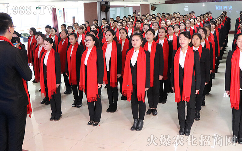 ���Ժ������ǻ���