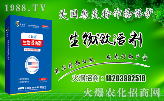 �����������ף������µ�һ���﹤�����������������