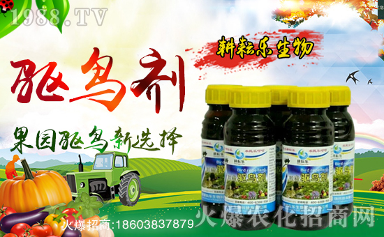 �����Ř����ף������µ�һ���������³ɣ��f��������