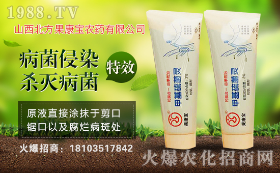 ��ɽ����������ף�������옷(l��)�����¶����