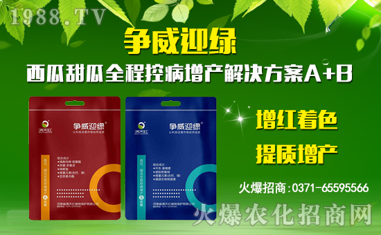 ���M��tֲ�ף������µ�һ�������w�������f�����⣡