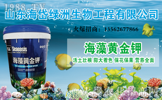 ����᷾G�ޡ�ף������옷���Ҹ��d�d��