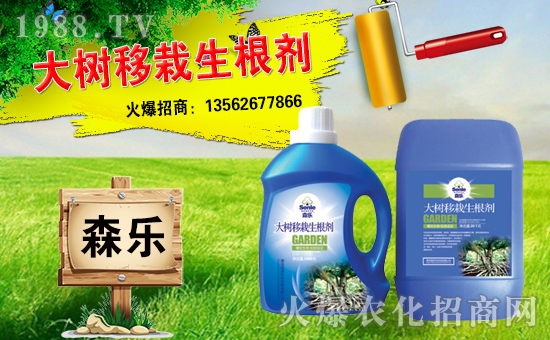 �������r�֡���ף������������옷���u�꼪����