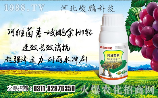 �����i�Ƽ���ףȫ���������w���������������