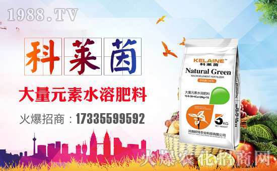 ���W���r(n��ng)�I(y��)��ף������µ�һ�����չ��D���H���Ҹ���