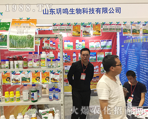 ɽ�|�h�Q���������ʮ�����ό��r(n��ng)�Y��