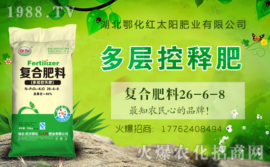 ���t̫�(y��ng)�ʘI(y��)��ףȫ��(gu��)�������µ�һ���﹤�����������������