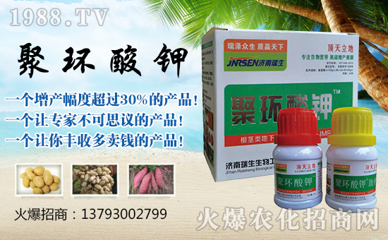 ���������ף����ҹ������������������