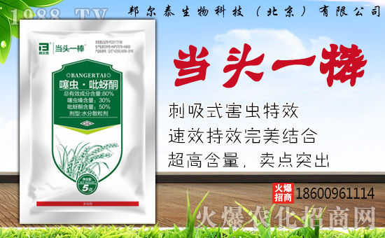 �̩����Ƽ������������޹�˾