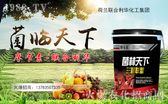 ��(li��n)�����A��ף������µ�һ�������w�������f��������