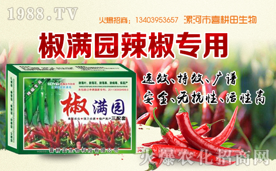 ��ϲ�������ף���������\(y��n)�������ո�������