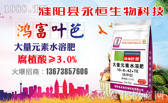 ���������ף������µ�һ���﹤�����������������