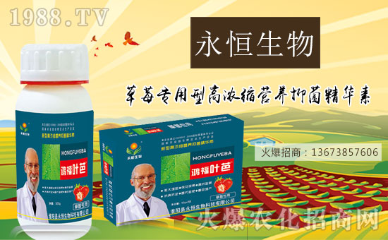 ���������ף������µ�һ���﹤�����������������