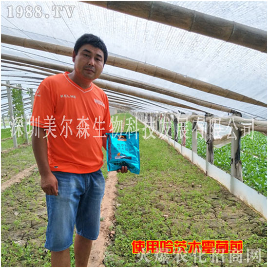 ������ɭ����������µ�һ�������w�����������³ɣ��f��������