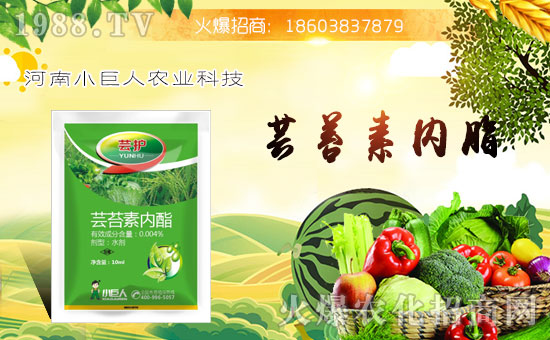 ��С�����r(n��ng)�I(y��)��ף������µ�һ���﹤�����������������