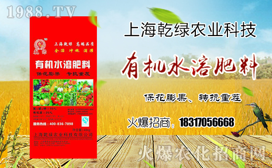 ��Ǭ�G�r(n��ng)�I(y��)��ף����Ҹ����M���H�Қg����