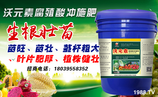 ���֠��D�r(n��ng)�I(y��)��ף������µ�һ�����´������f��������