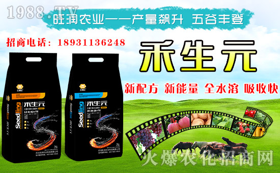 ������(r��n)�r(n��ng)�I(y��)���o����������ף���´��󼪣��f(w��n)��������