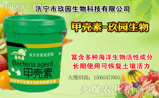 �����@���ףһ·�߁�(l��i)�����т����w���������������