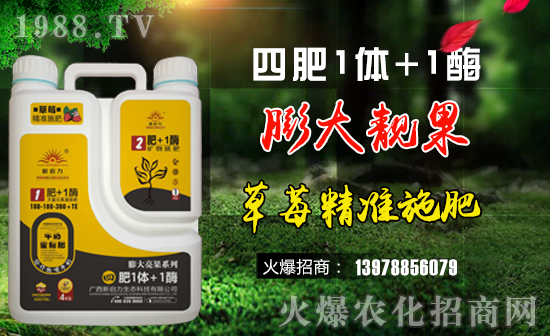 ��������ף��һ·�������т����µ�һ�����Ҹ����M���H�Қg����