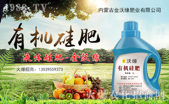 �����־��ʘI(y��)��ףԸһ·�������т����w���������꼪�飡