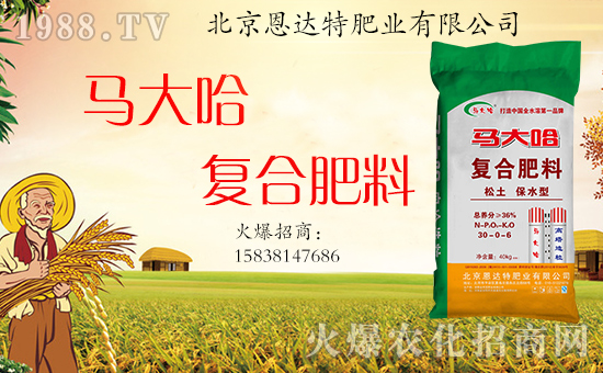 �����_(d��)�طʘI(y��)��ף���g�gϲϲӭ���꣬�f������ƽ������