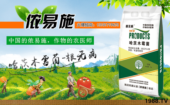 ���Ї�(gu��)���z��ʩ��ȫ�w�T����ף�V������͑�����옷���f�����⣡