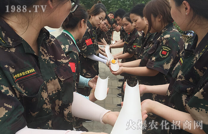 �Զ������������ŗ�