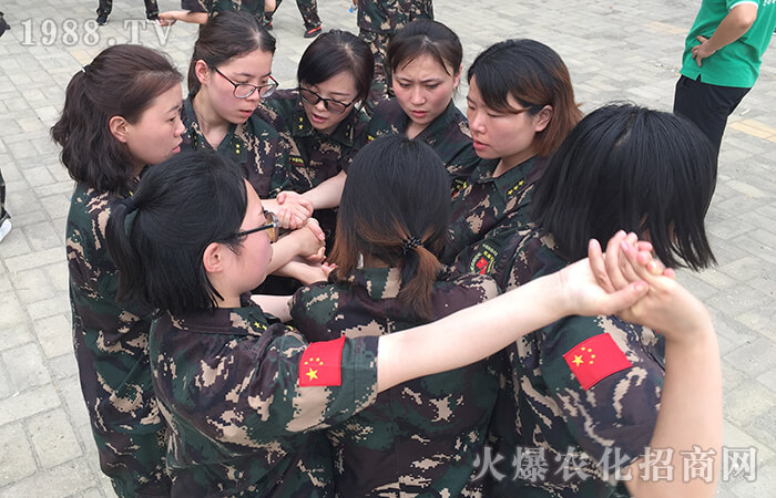 ʮ��ĥ�Z��(chu��ng)�ѿ� ʹ�����_(d��)�����