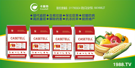 ����ɫ�п�ʩ�ء�ף��ҡ��¡����o�ȣ�����������¡���s��