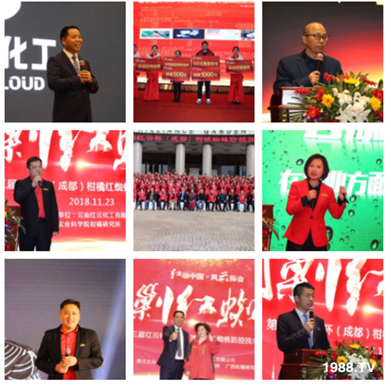 ���t�ƻ�����ף���ٸ��R�T�����������������´���