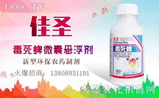 ���|���r(n��ng)�I(y��)��ף������µ�һ���﹤�����������������