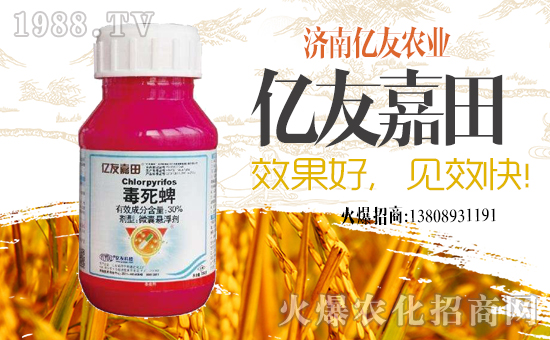 ���|���r(n��ng)�I(y��)��ף������µ�һ���﹤�����������������