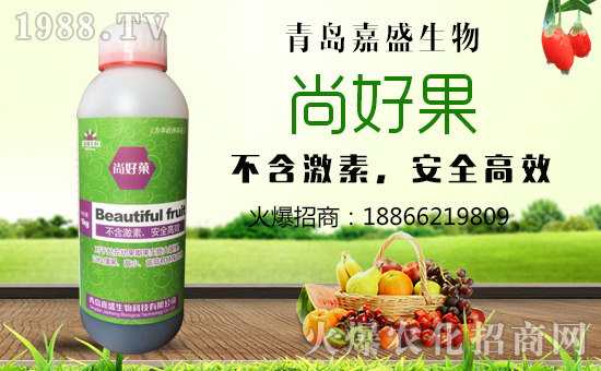     ����ʢ���ף������µ�һ�������d¡��ؔԴ�V�M��