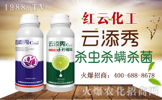 ���t�ƻ�����ף���ٸ��R�T�����������������´���