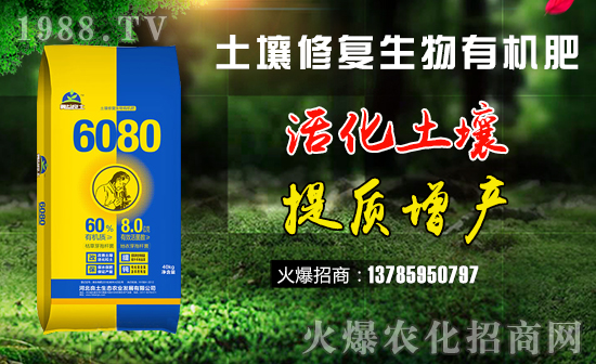     �����ޏ�(f��)�����ЙC(j��)��-6080-��������