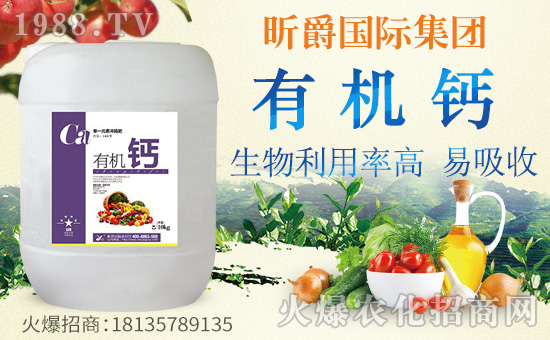 ��꿾���H��ףȫ���������w�������f��������