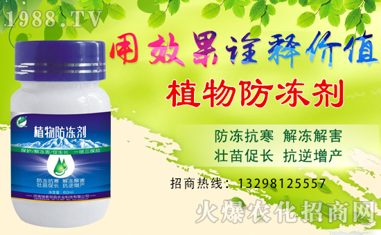     ����̩�����ȫ�w�T����ףȫ����(j��ng)�N�����w�������i�꼪����