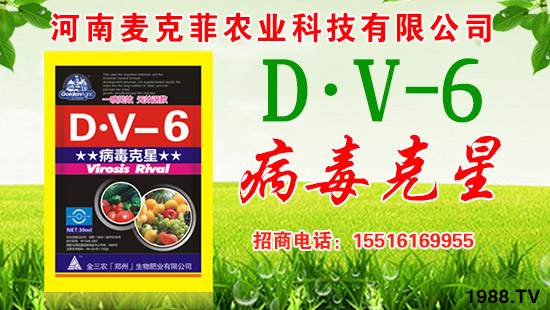 �����˷��r(n��ng)�I(y��)��ףȫ��(gu��)��(j��ng)�N�����w�������f(w��n)�����⣡