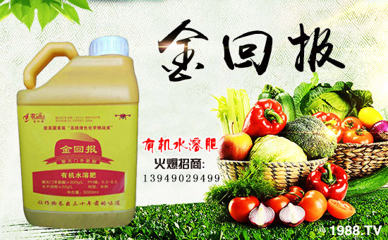     ����؈�(b��o)�r(n��ng)�I(y��)��ף������µ�һ�������w�����������³����f(w��n)��������