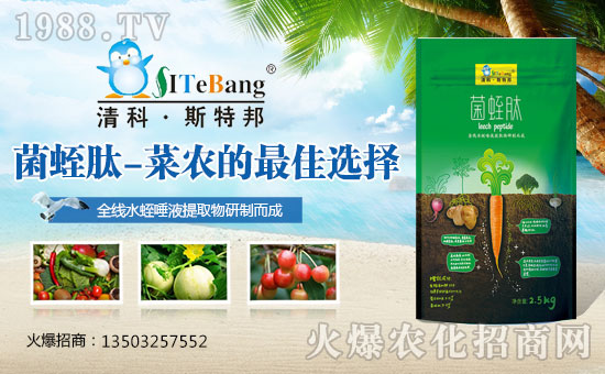     �����������ϏS��ȫ�w�T��ף��Ҽ���l(f��)ؔ�������³ɣ�