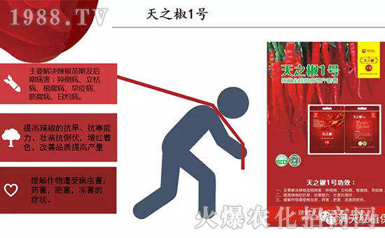 �����ϝM(m��n)��t��ף������µ�һ���﹤�����������������