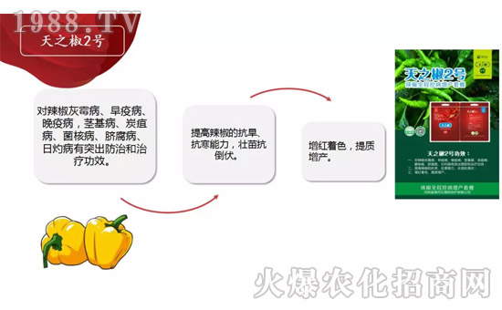 �����ϝM(m��n)��t��ף������µ�һ���﹤�����������������