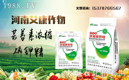 �����ϰ�����ףȫ��(gu��)��(j��ng)�N�����w�������i�꼪����