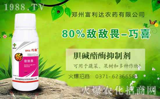 �������_��ףȫ���������µ�һ���﹤�����������������