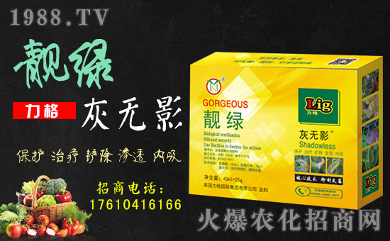 ��Ӣ������ף���g�gϲϲӭ�������f������ƽ������