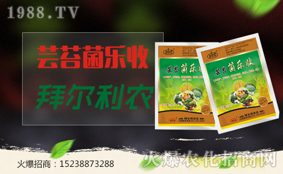 ���ݠ����r(n��ng)����ף�����������������ҼҼ��飡