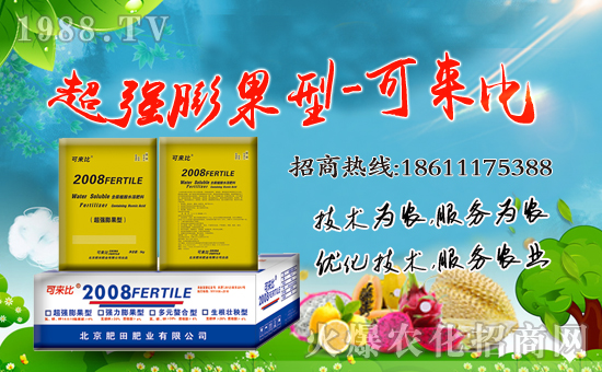 ������ʘI(y��)��ףȫ�����Ѻ��¶����Ц�ݶ�࣡