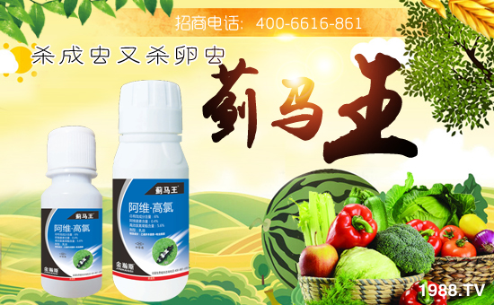 �����˹�r(n��ng)�I(y��)��ףȫ���������w�������f�����⣡