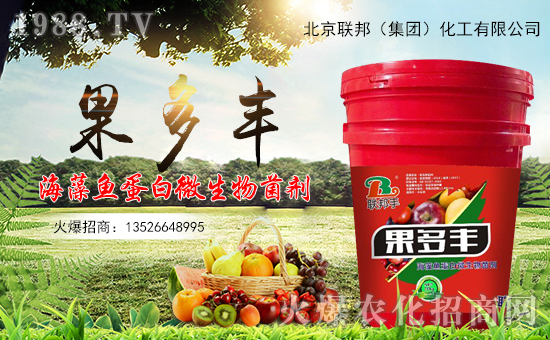 ������(li��n)�����ף�������옷�����¶����